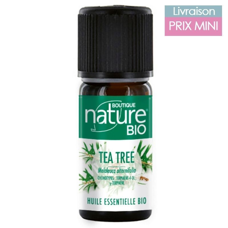 Tea tree : utilisation et bienfaits de l'huile essentielle d'arbre