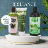 Cure Brillance : Nigelle + Olive + Aloe vera
