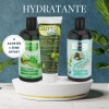 Cure hydratante : Aloe Vera + Olive + Coco