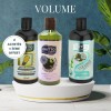 Gutto Natural Cures - 2 shampoos bought, 1 free